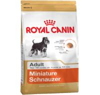 Miniature Schnauzer Royal Canin